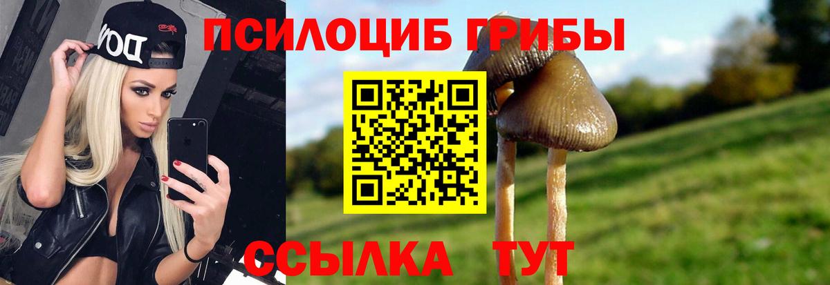 Псилоцибиновые грибы Cubensis Богородицк